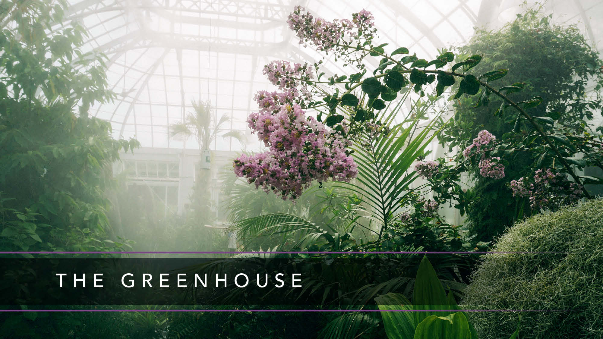 The Green House 2023